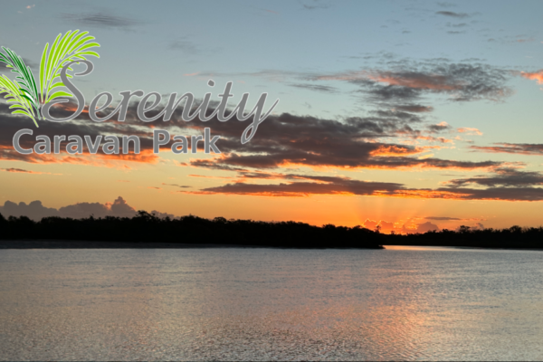 Website Banner Sunbset 1 Website Banner Sunbset 1